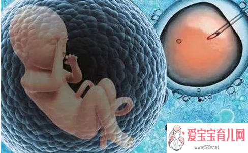<strong>胚胎冷冻对宝宝有影响试管婴儿冷冻胚胎</strong>